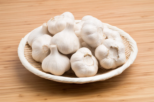 国産種子用ニンニク 青森産 (ホール/10kg単位)※今期の販売は終了しました