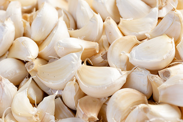 種子用ニンニク 大倉系 (割種子/1kg単位) ※今期の販売は終了しました