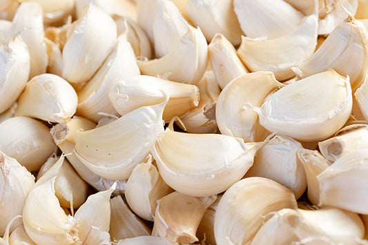 種子用ニンニク 上海早生系 (割種子/1kg単位) ※今期の販売は終了しました
