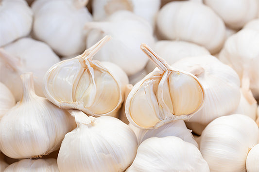 種子用ニンニク 上海早生系 (ホール/1kg単位)※今期の販売は終了しました