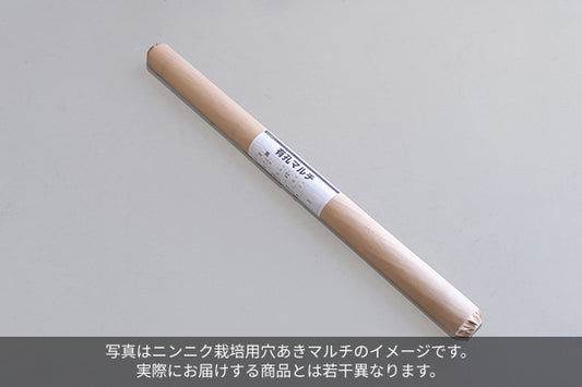 ニンニク栽培用 穴あきマルチ 110cm幅(3本セット) ※8月下旬頃より配送