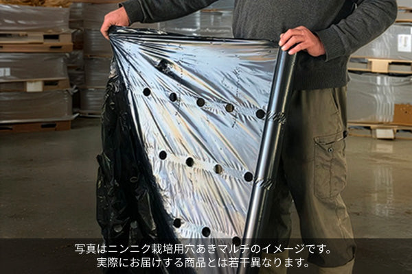 ニンニク栽培用 穴あきマルチ 135cm幅(3本セット) ※8月下旬頃より配送
