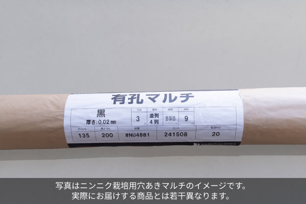ニンニク栽培用 穴あきマルチ 135cm幅（3本セット）　※8月下旬頃より配送