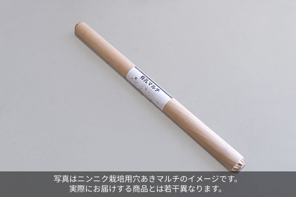 ニンニク栽培用 穴あきマルチ 135cm幅（3本セット）　※8月下旬頃より配送